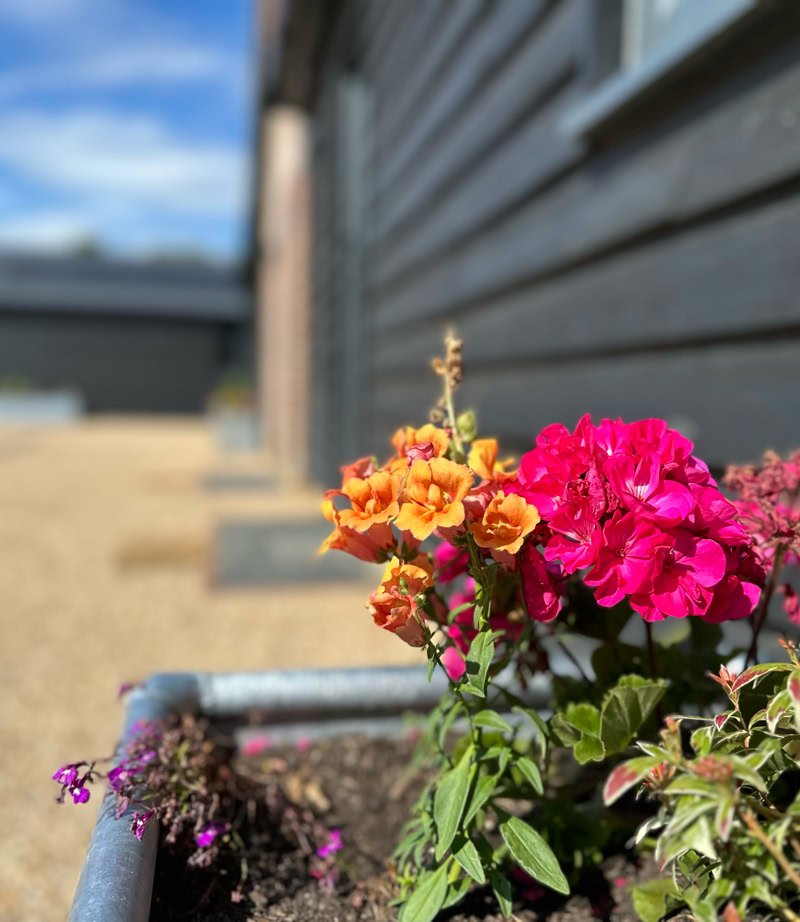 Pretty plants outside Fender Stables